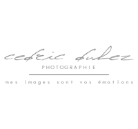 photographe mariage lille