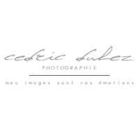 photographe mariage lille